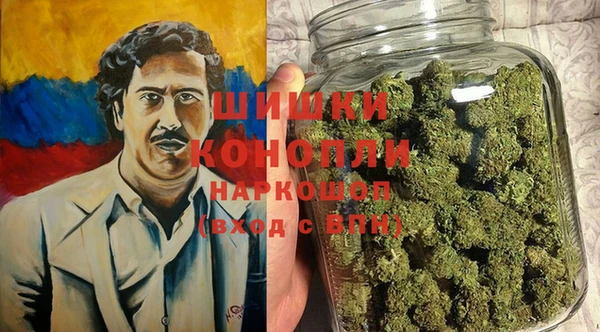 МДПВ Гусиноозёрск