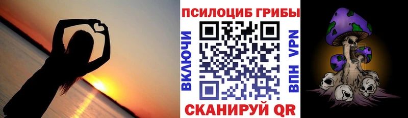 где можно купить наркотик  Дрезна  Галлюциногенные грибы GOLDEN TEACHER 